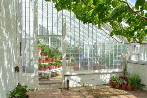 Interior of beautiful old greenhouse with potted plants and vines ...