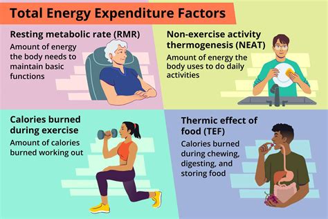 How Many Calories Will You Burn Watching A Video For An Hour