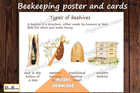 Honeycomb Cells Unit Study Mini Printable Bees Bundle Etsy