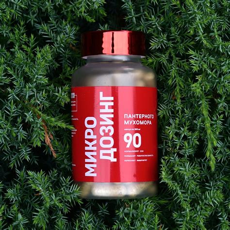 Купить Пантерный мухомор в капсулах с доставкой - AMANITA VITALITY