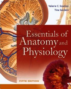 Essentials Of Anatomy And Physiology Fifth Edition Repository