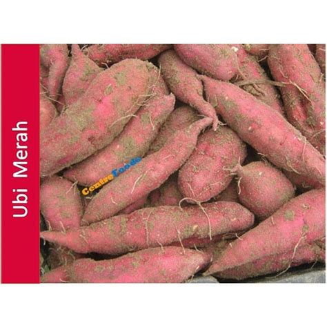 Jual Ubi Jalar Merah Ketela Rambat Gr Harga Per Kg