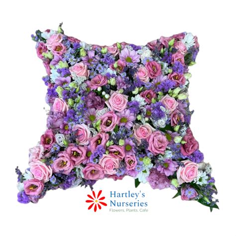 Pink Purple Cushion Buy Online Or Call 0151 526 1577