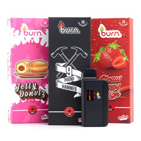 Burn G Disposable Vape Pen Canna Care Bc