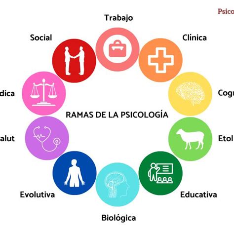 Derribar Industria Mona Lisa Ramas De La Psicologia Cientifica Grabar