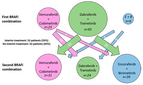 Cancers Free Full Text Tolerability Of Braf And Mek Inhibitors For Metastasized Melanoma