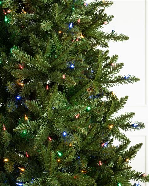 Sapin De Montagne Berkshire Sapin De Noel Reglable