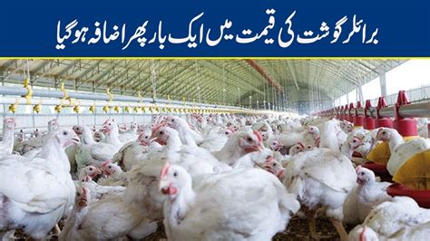 Broiler Chicken Price Increases By Rs 8 Kg YouTube