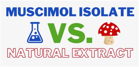 Unlocking The Synergy Muscimol Isolate Vs Whole Spectrum Amanita