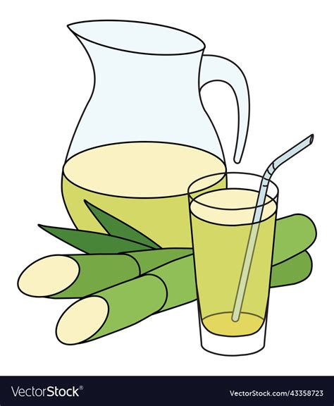 Doodle Cartoon Style Green Yellow Sugarcane Juice Vector Image