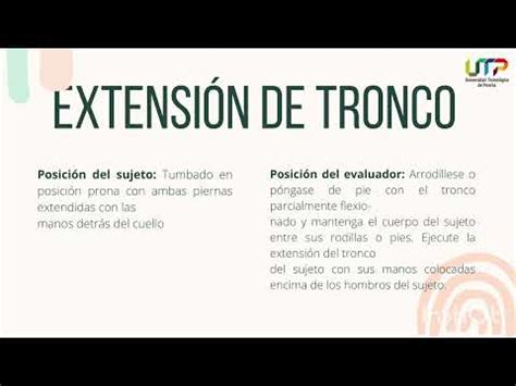 FLEXIBILIDAD DE TRONCO YouTube