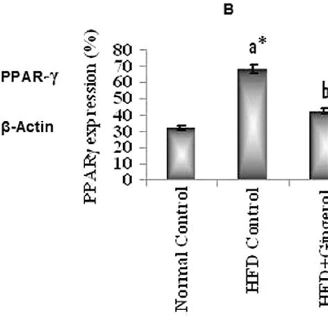 Effect Of Gingerol Treatment On Pparg Mrna Levels A And Relative Mrna