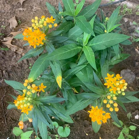 Lofts of Arlington - Home | Facebook