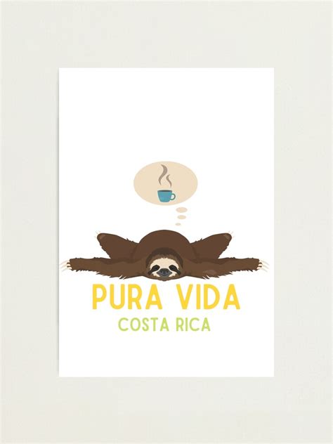 Costa Rica Pura Vida Sloth Photographic Print For Sale By Kinkym