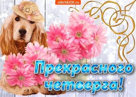 Пусть Четверг будет полон тепла и света!