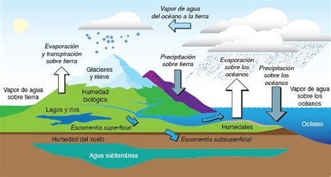 Ciclo Hidrológico Descubre las Fascinantes Etapas de la Hidrología