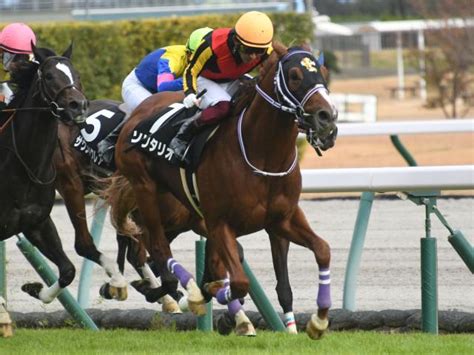 【こうやまき賞結果】モーリス産駒ソリタリオが抜け出して連勝 競馬ニュース Netkeiba