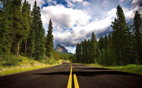 nature road trees canada, HD Wallpaper | Rare Gallery