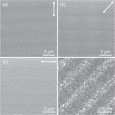 Plan View SEM Micrograph Of A Film Illuminated Using Two Consecutive