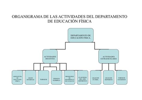 Actividades Del Departamento De Educaci N F Sica Ppt Descarga Gratuita