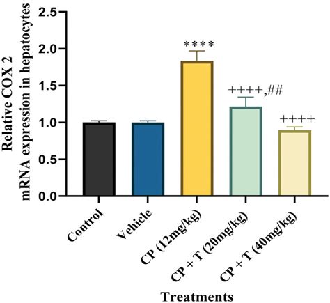 Quantitative Real Time Pcr Analysis For Cox 2 Mrna Expression In