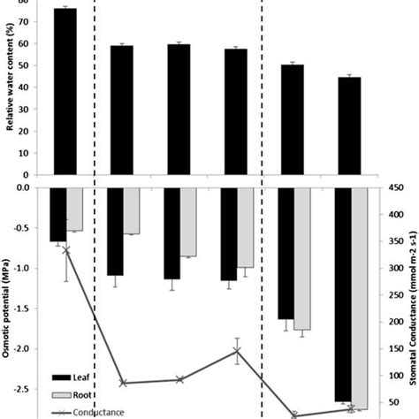 Relative Water Content RWC Osmotic Potential MPa And Stomatal