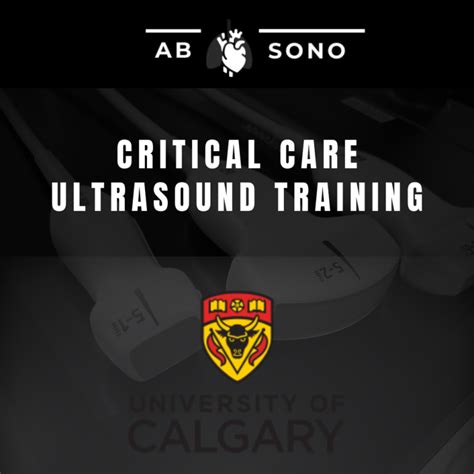 Critical Care Ultrasound Training University Of Calgary Alberta Sono