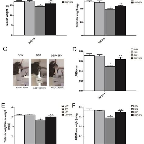 Effect Of Dbp Stimulation And Sfn Supplementation On Ros Generation Download Scientific