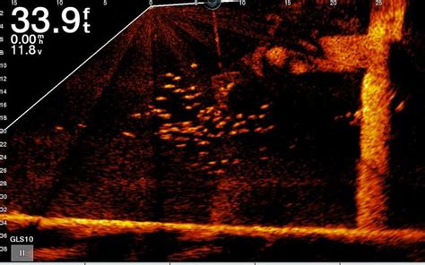 What Is Forward Facing Sonar How It Works • Sonar Wars