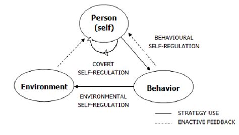 The Triadic Social Cognitive Theory Bandura 1986 In Zimmerman 1989