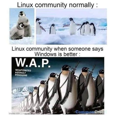 Linux Community Memes Linux Programmer Jokes