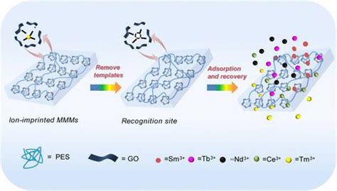 离子印迹氧化石墨烯混合基质膜的构建用于 Tm3 的选择性吸附和分离langmuir X Mol