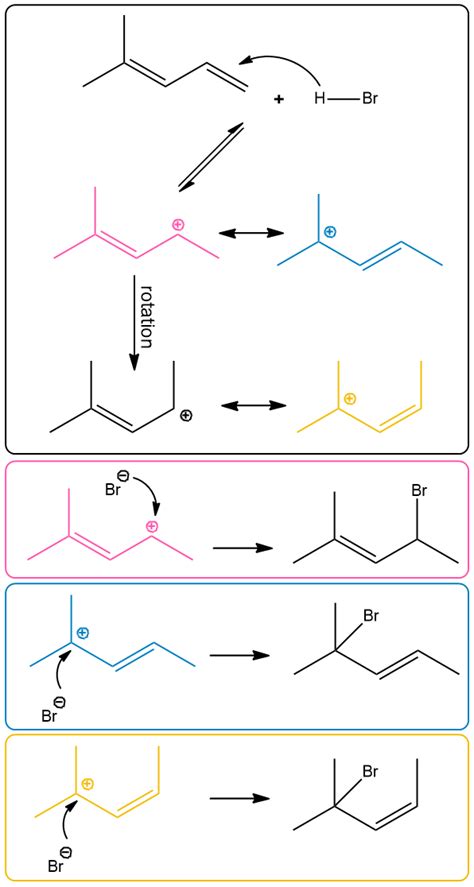 The Reaction Of 1 Mol Of 4 Methylpenta 13 Diene With 1 Mol Of Hb