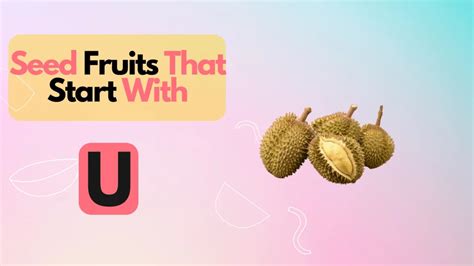 Top 30 Healthiest And Tasty Fruits That Start With U