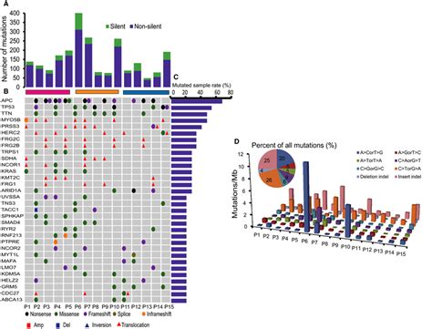 Genomewide Somatic Alterations Landscape Of Crclms A Number And