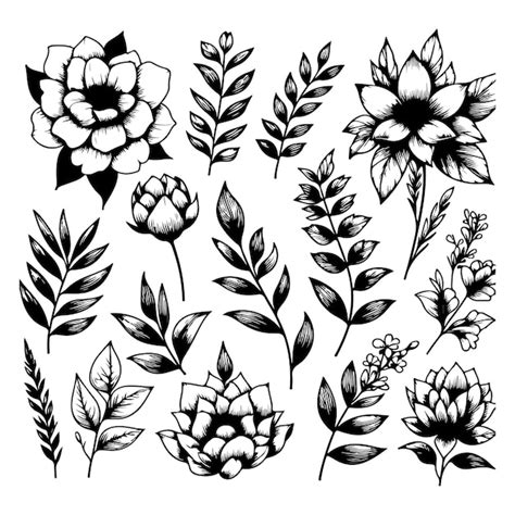 Premium Vector Set Of Floral Elements Flower Collection With Leaves