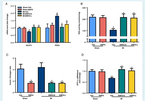 Effect Of Empagliflozin Empa On Glucose Metabolism Insulin Glucagon