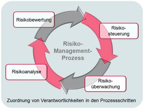 Risikoanalyse im Risikomanagementprozess Axel Schröder