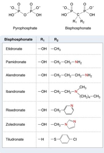 Mineral Homeostasis And Bone Drugs Da Iii Exam Flashcards Quizlet