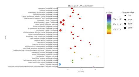 Functional Annotations For Target Genes Mediated By The Download Scientific Diagram