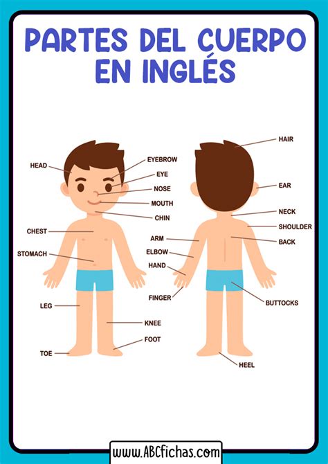 Mis Partes Del Cuerpo Partes Del Cuerpo En Ingles Partes Del Cuerpo