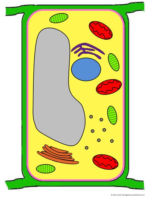 Download Label Clipart Plant Cell - Plant Cell Clipart - Png Download ...