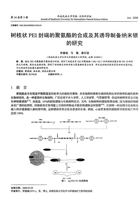 树枝状pei封端的聚氨酯的合成及其诱导制备纳米银的研究word文档在线阅读与下载免费文档