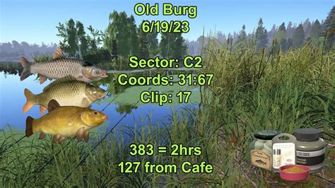 Russian Fishing Old Burg Active Carp Spot Youtube