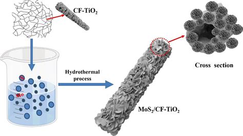 Schematic Illustration Of Synthetic Processes Of MoS2 CFTiO2