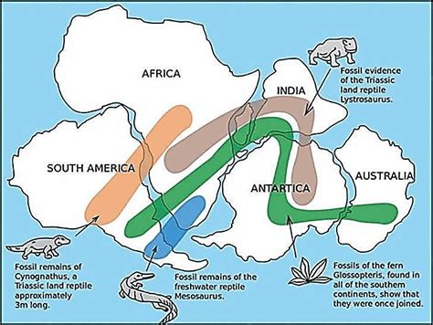 Theories Explaining Distribution Of Oceans And Continents Continental Drift Sea Floor