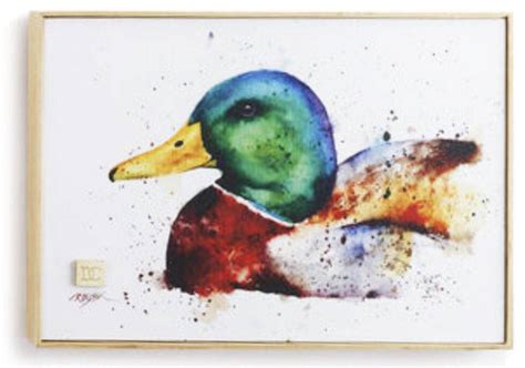 Mallard Duck Watercolor At Paintingvalley Explore Collection Of