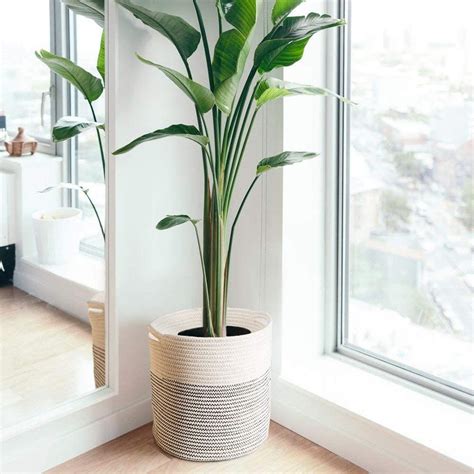 20 Indoor Flower Pots That Will Add Major Style To Your Greenery Thuy San Plus