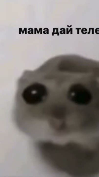 дай телефон - YouTube