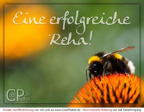 CoolPhotos De Kur Und Reha Eine Erfolgreiche Reha